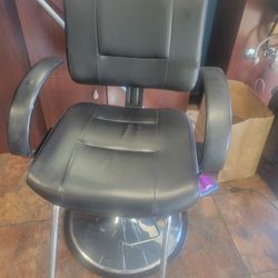 Salon Chairs 