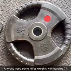 45lbs Olympic weights with grips or handles