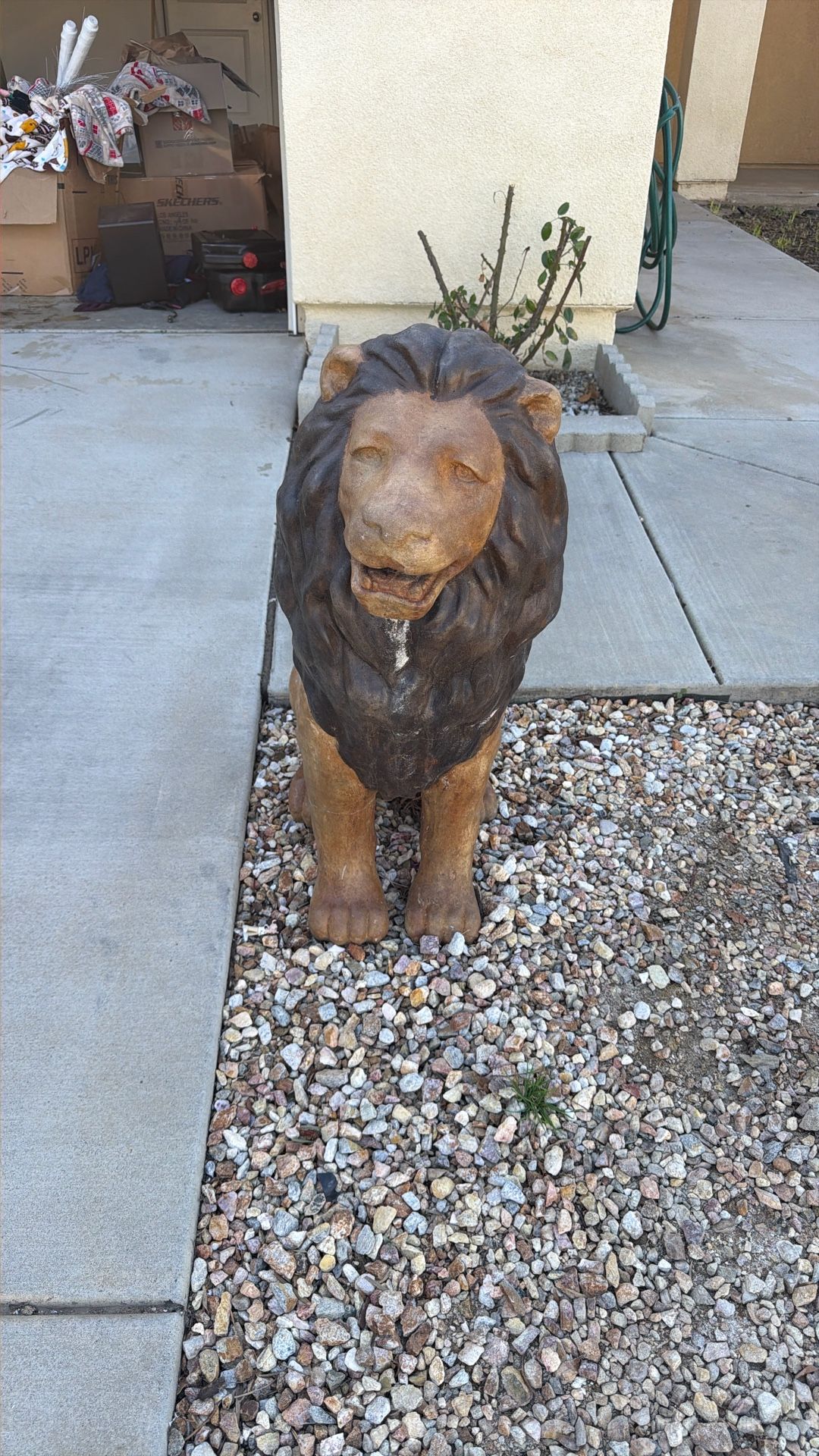 Lion Statues