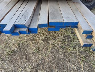 6/4 Poplar Wood Strips Lumber