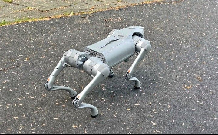 Unitree Go2 robot dog