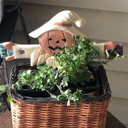Wicker Scarecrow Basket With Orange Mums