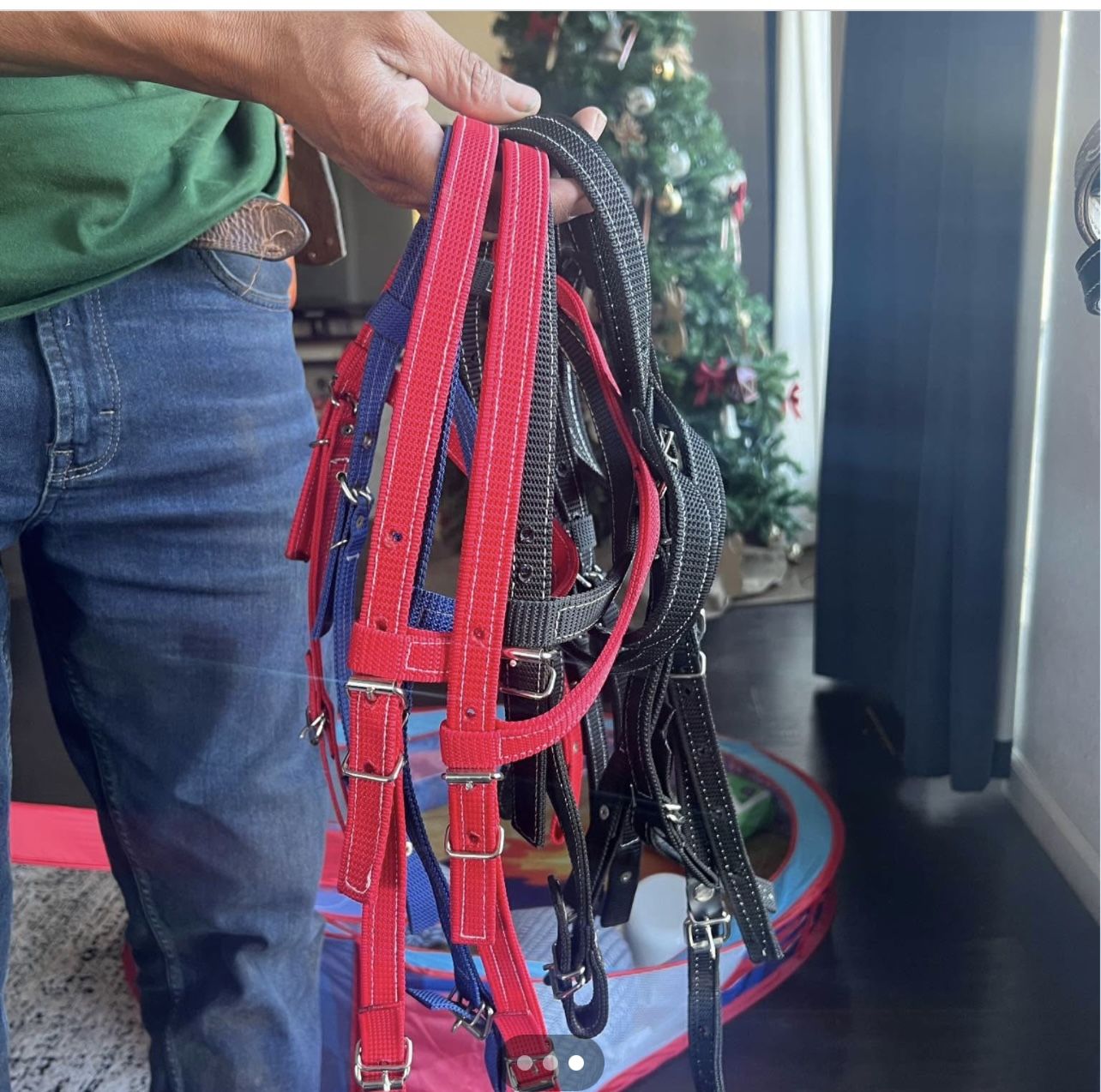 Horse Bridles