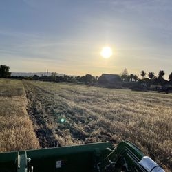 Ground/Disc/Variety’s 