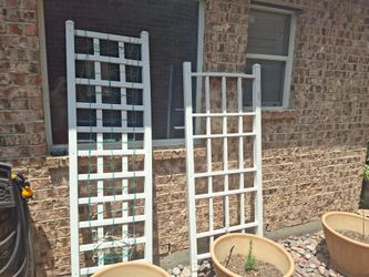 Pair Of TRELLIS