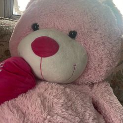 Jumbo Bear For Sale!