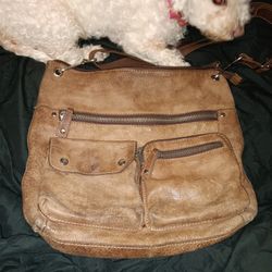 Fossil Satchel Bag