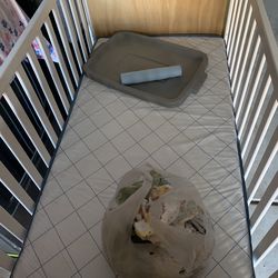 White Tan brown light blue baby crib bed mattress and woodeframe