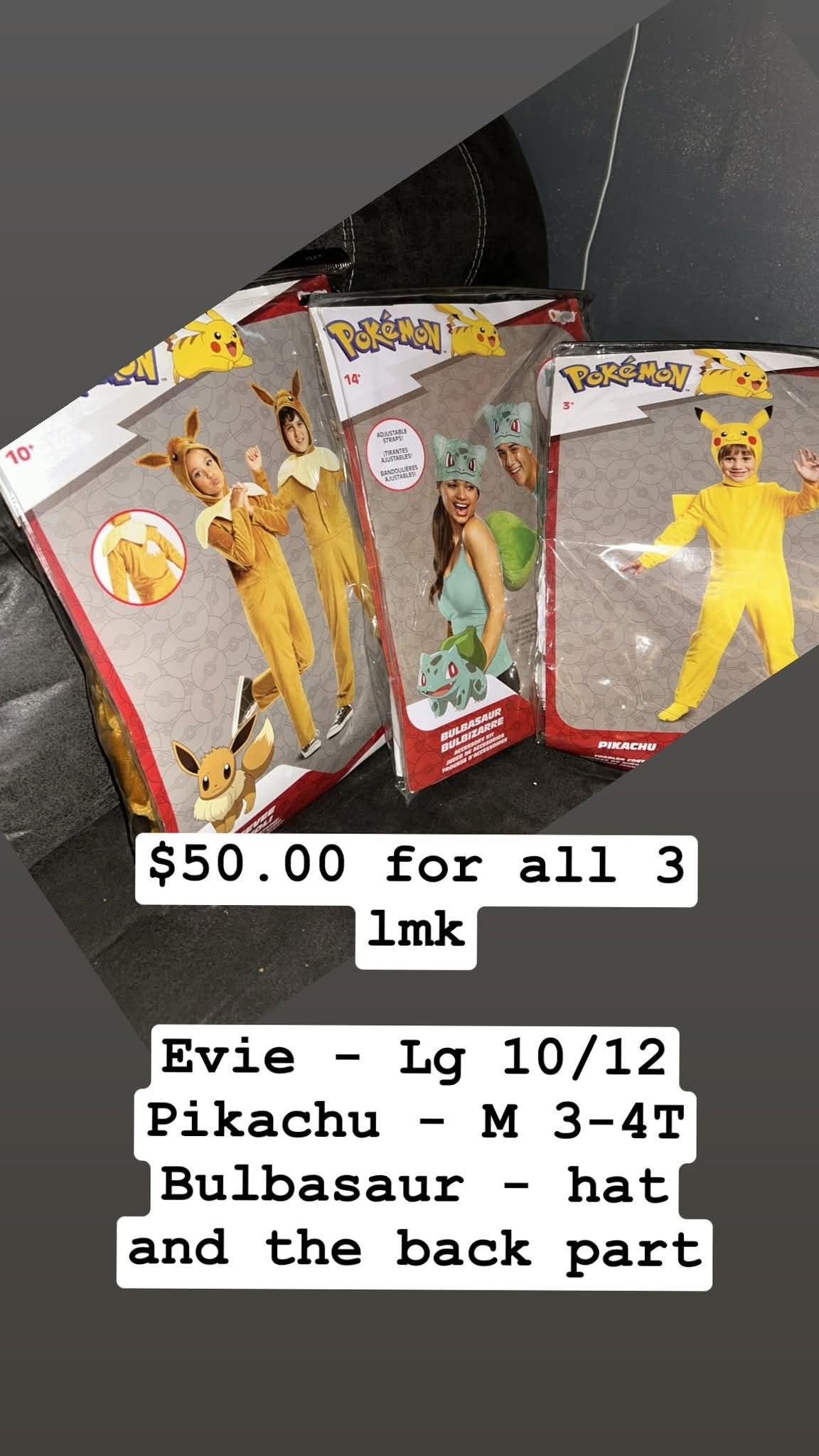 Pokémon Costumes