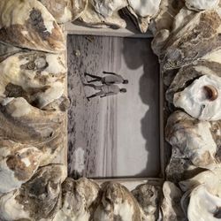 Shell Frame New Never Used 