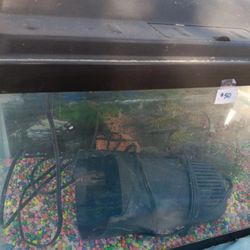 FISH TANK