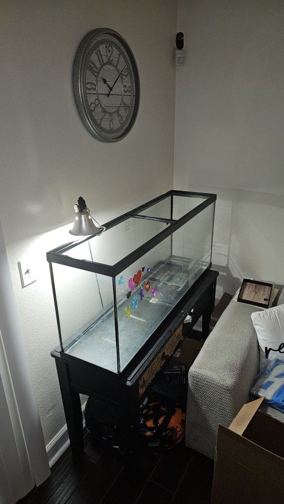 Turtle Tank 