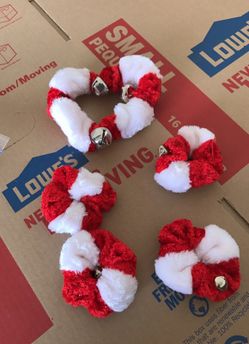 Doggy Christmas shoes and colar