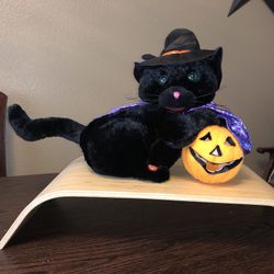 Halloween Witch Cat Animated Plush Plays Black Magic Woman Works So Cool!