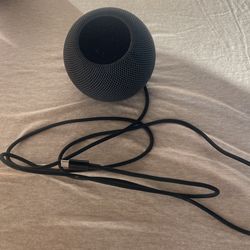apple mini speaker