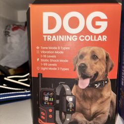 Dog Training E-Collar