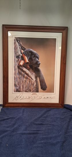 David J. Sams Framed Black Lab Puppy Print