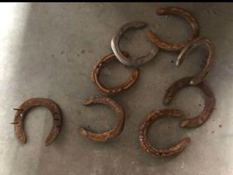 Horseshoes