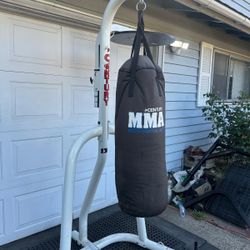 Century Boxing Stand With Punching Bag