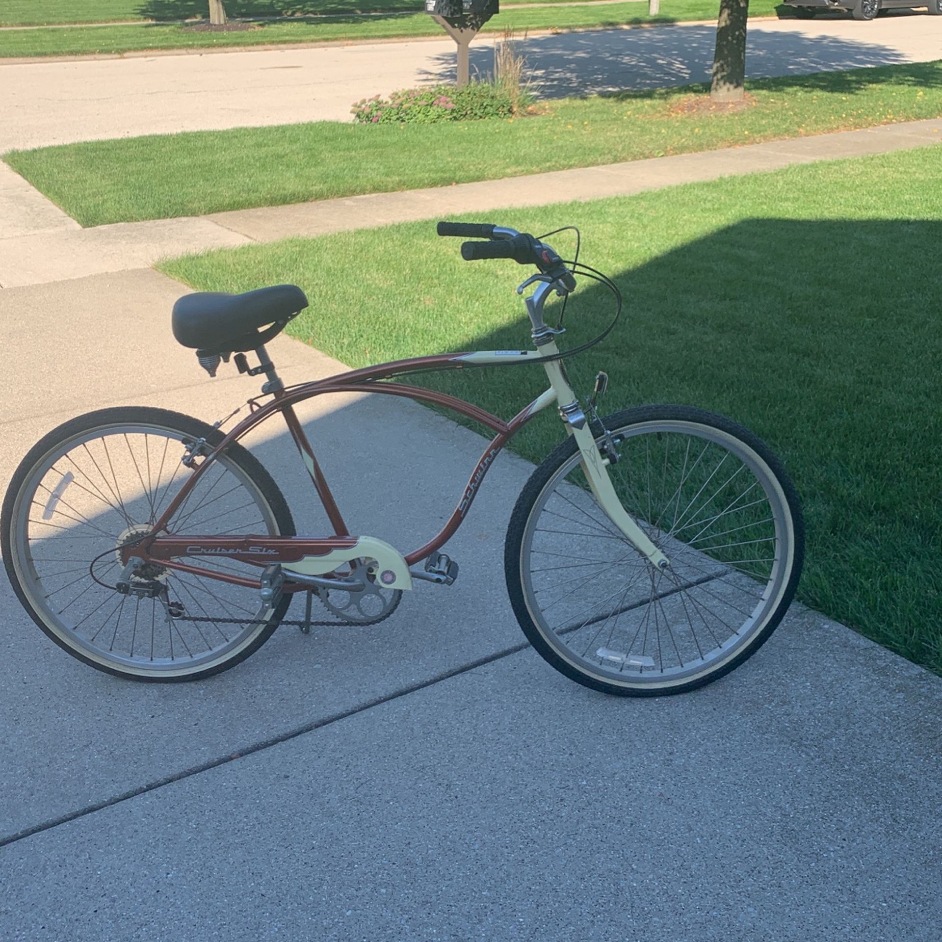 Schwinn Cruiser