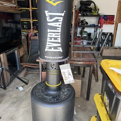 Ever last Punching Bag