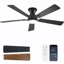 Ceiling Fans（brand new)