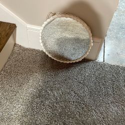 Shell Mirror