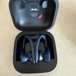 Powerbeats Pro Earbuds- Blue