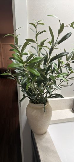 Faux Olive Tree in Ceramic Vase