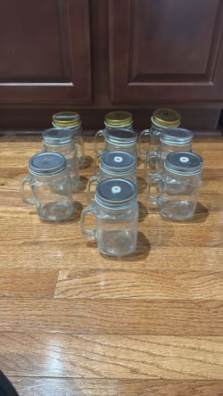 10 Piece Farmhouse Mason Jar Cups