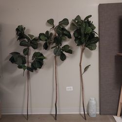 3 Faux Fiddle Leaf Fig Trees (Old Town)