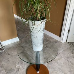 Accent  Or Side Table/ Plant Stand 20/20 