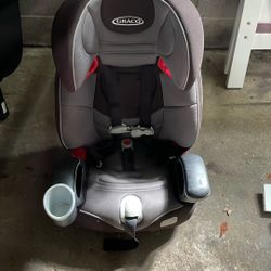 Cat Seat 