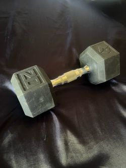 20 pound dumbbell