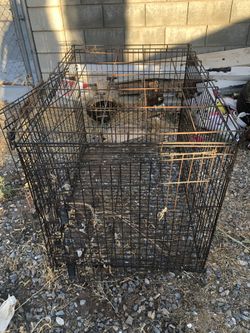 Dog Kennel