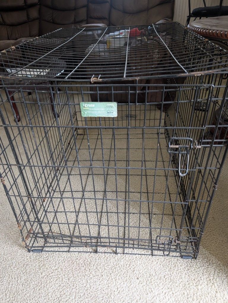Dog Cage