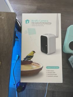 Hummingbird Feed HD Camera Wireless