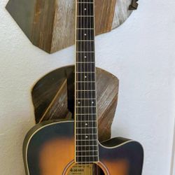 Acoustic Guitar DONNER