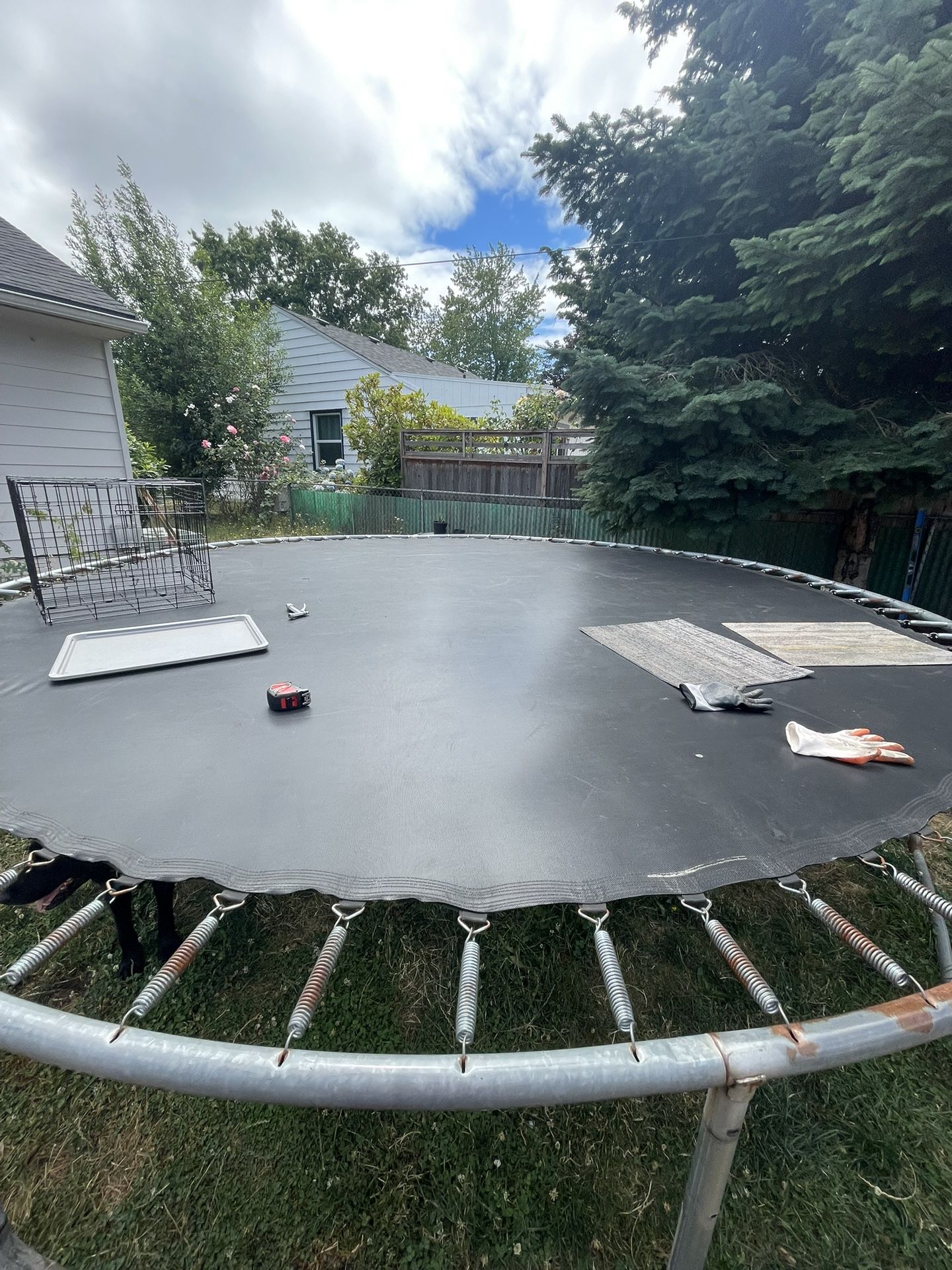 Free Trampoline
