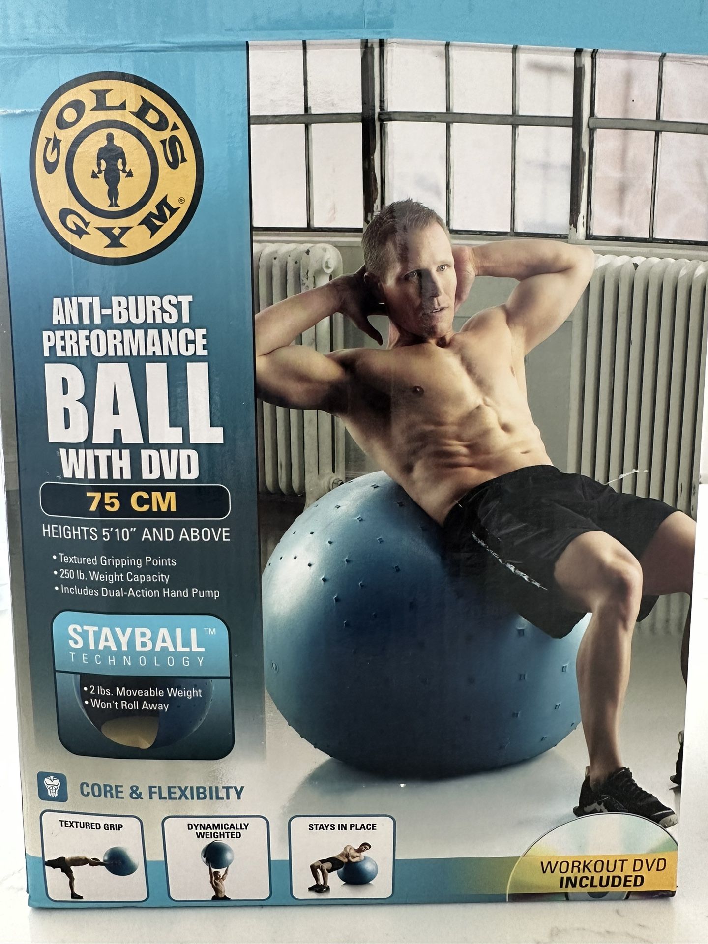 For Sale Golds Gym 75cm Stay Ball Exercise Ball With Pump
