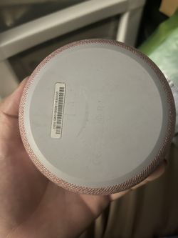 Echo Dot 