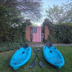 Kayak Pair w/ Paddles & Vests