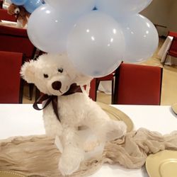 Boho Teddy Bear Themed Baby Shower  🧸 