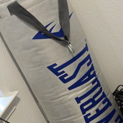Everlasting Punching Bag And Gloves