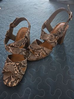 Woman's Shoes