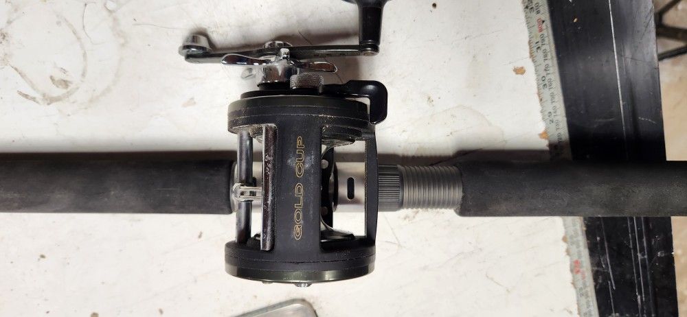 7ft Shakespeare Tiger Ugly Stick