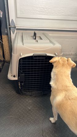 Dog crate