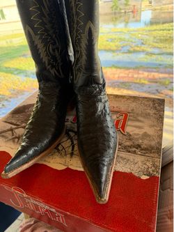 Botas y cinto