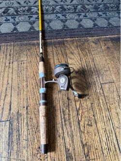 Fishing rod in excellent condition  Daiwa  401      79 inches tall