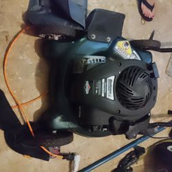 Brand New Briggs And Stratton Push Mower